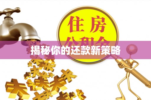 奈曼旗揭秘你的还款新策略
