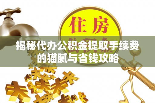 奈曼旗揭秘代办公积金提取手续费的猫腻与省钱攻略